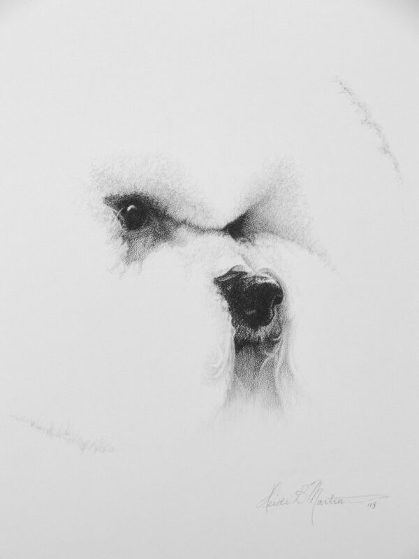 14"x16" Custom Heidi Martin Head Study Raffle Tickets - 2025 Howl-o-ween Nationals - Image 3