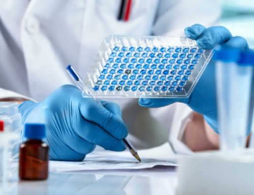 Understanding Lafora Disease and Genetic Testing in Basset Hounds