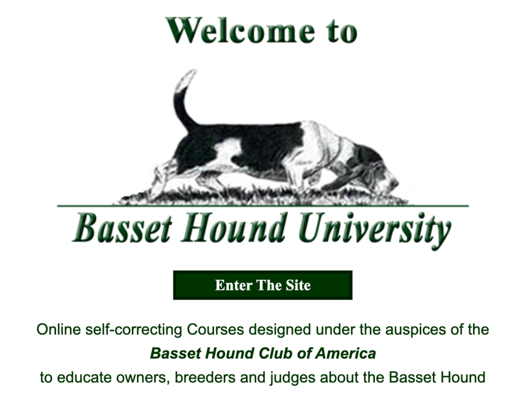 Basset Hound University