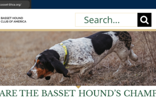 A screen shot image of the homepage of the Basset Hound Club of America website, with a photo of a Basset Hound in the field underneath which are the words "We Are The Basset Hound's Champion"