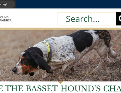 Welcome to the New BHCA Website