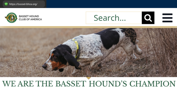 Home | Basset Hound Club of America